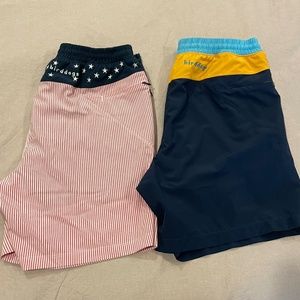 Birddogs Men Swim Hybrids - Red Stripe and Navy